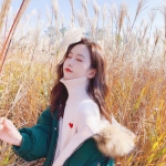 乐鱼体育app官方网站下载